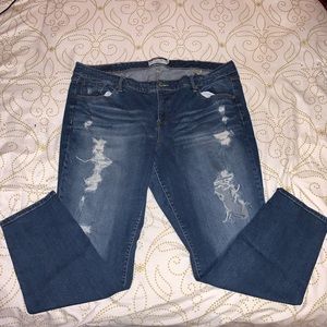 Torrid Blue Jeans 24